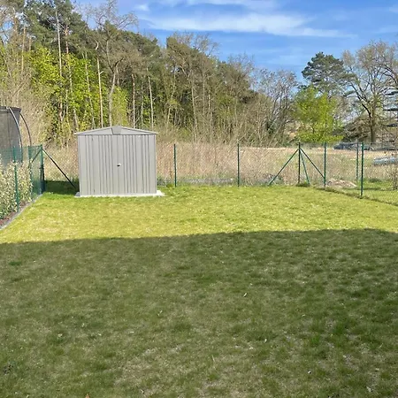 Holiday home Vogelchisi Fredersdorf-Vogelsdorf